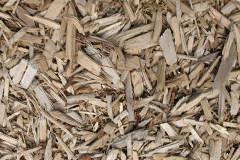 biomass boilers Clapton